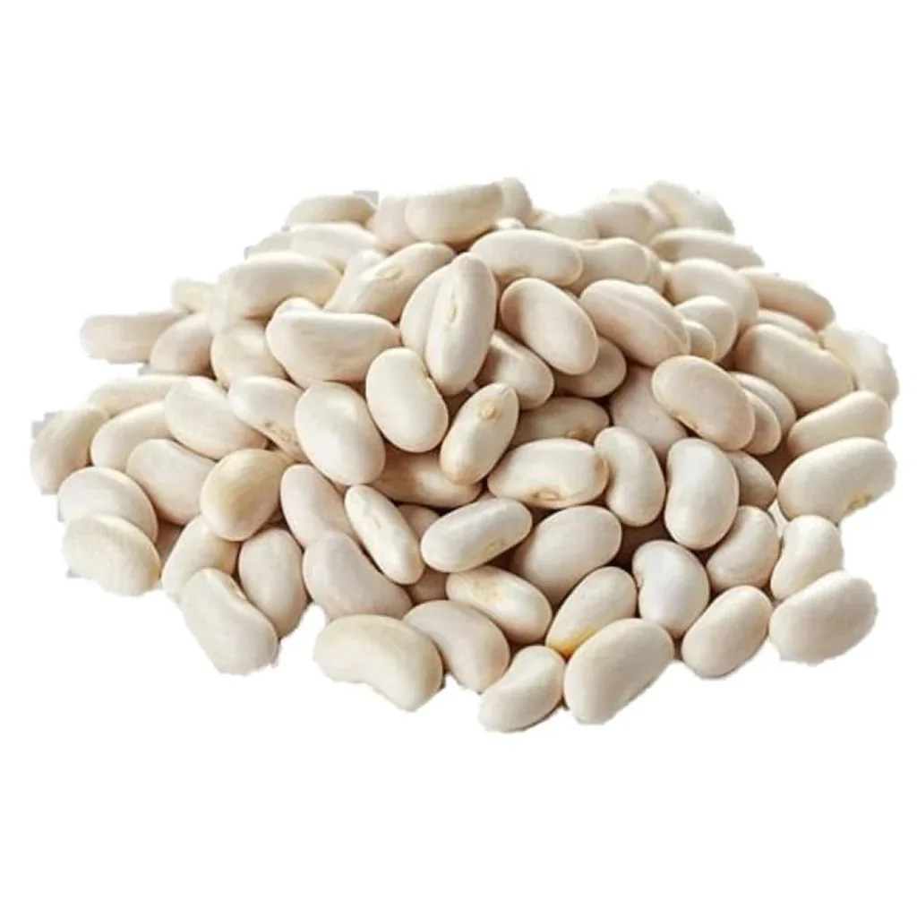alubia beans illustration