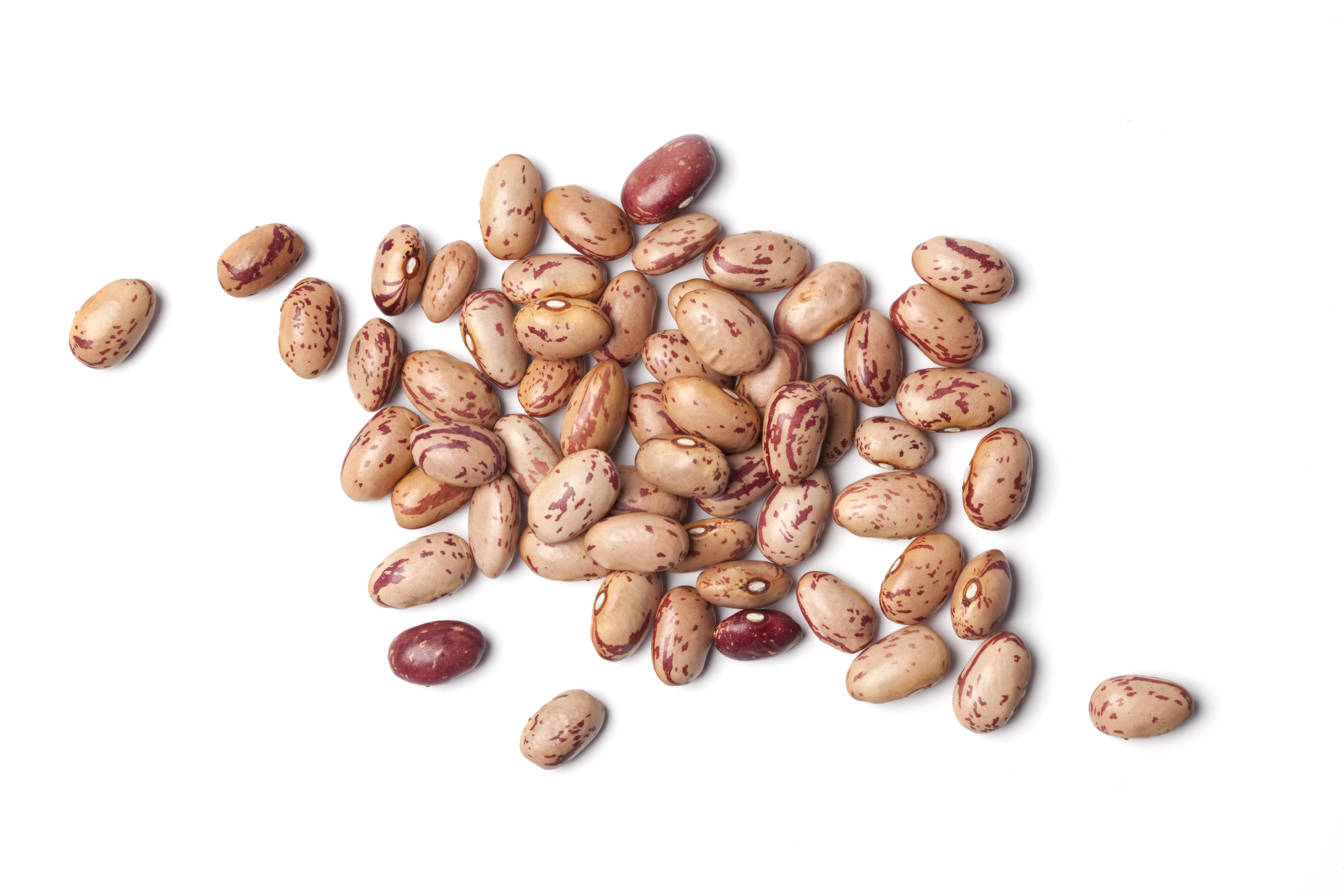 Cranberry beans ingredient photo