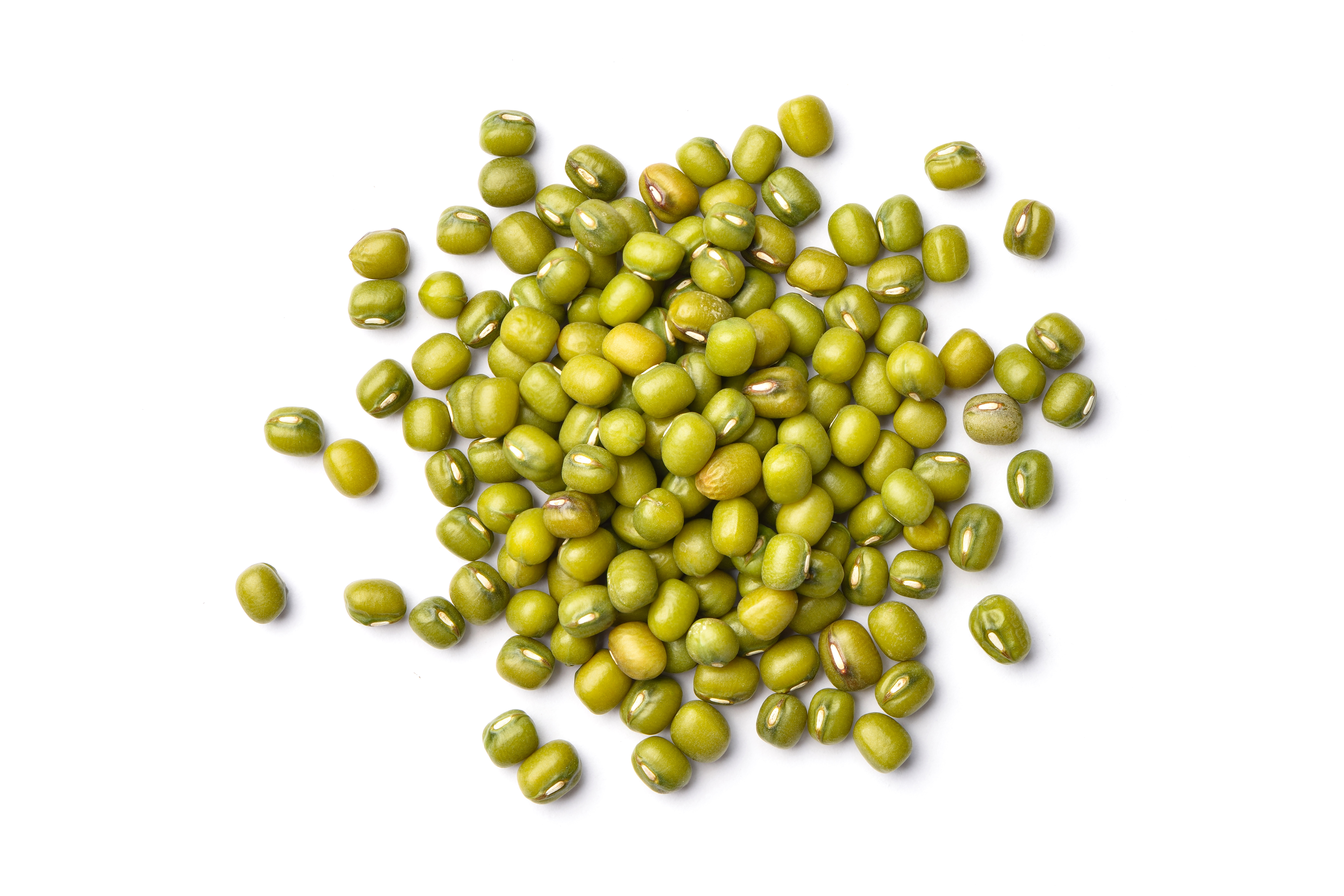 Mung beans ingredient photo