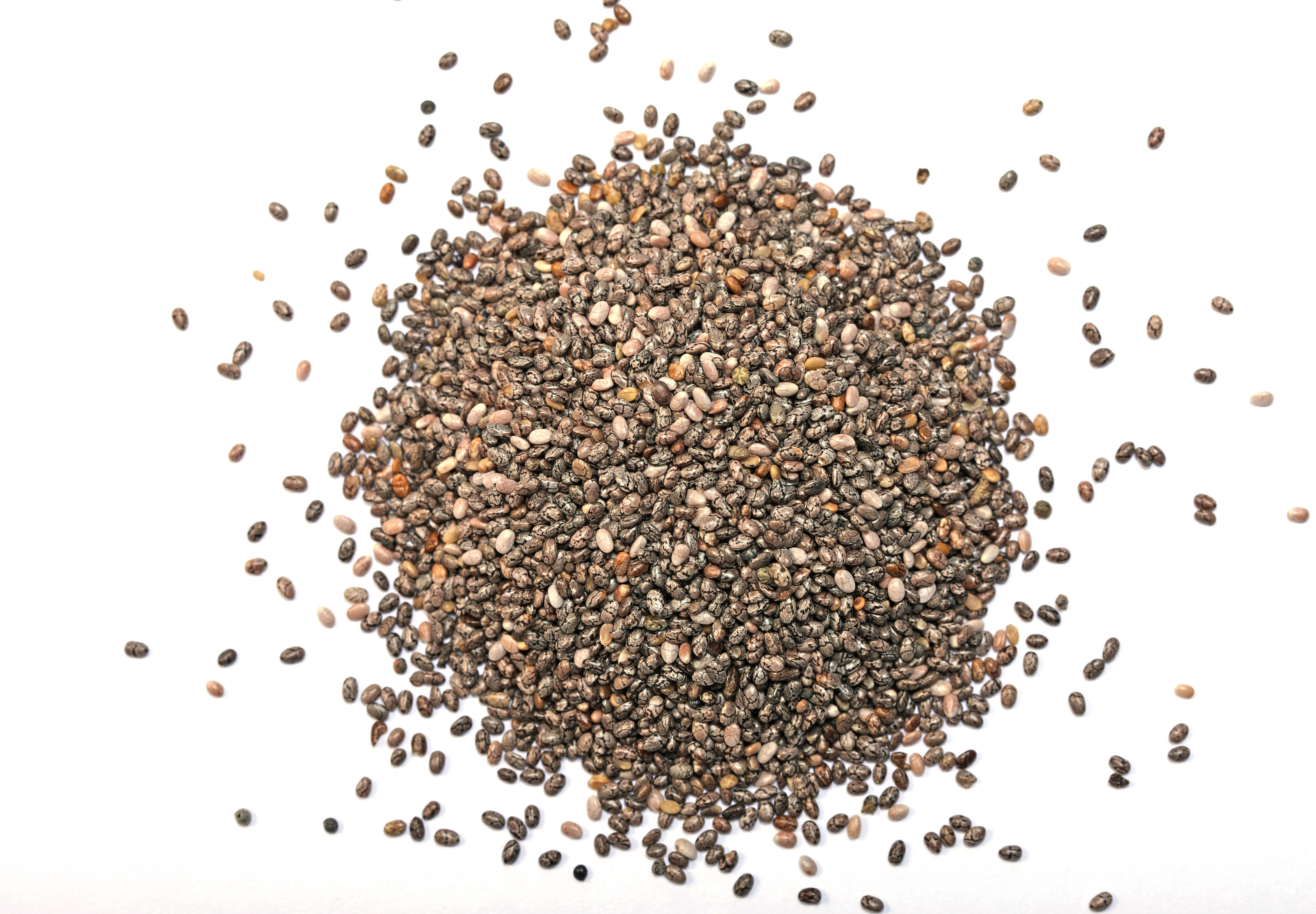 Chia ingredient photo for pet food