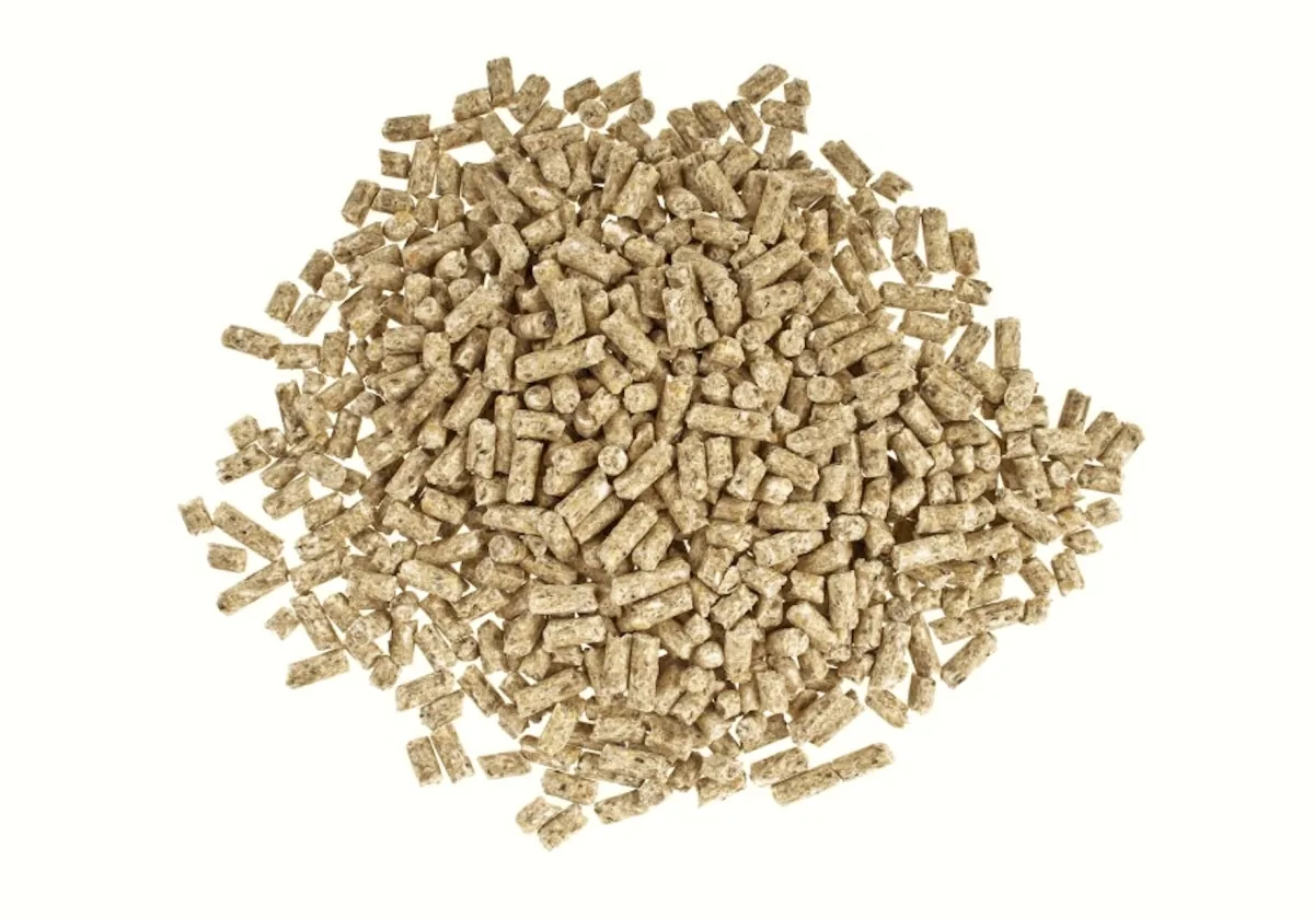 citrus pellets for pet food illustration