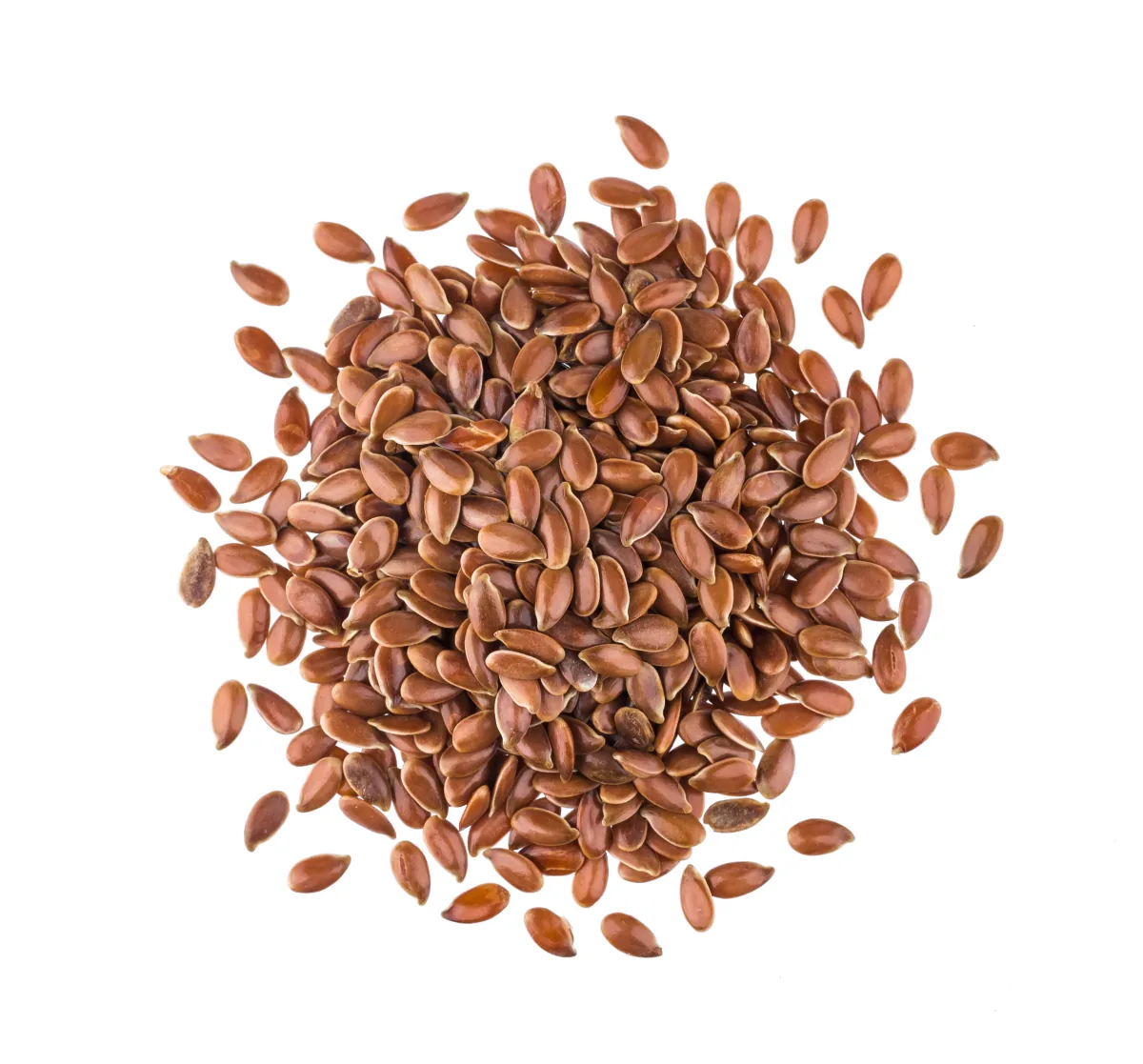 flaxseed for pet food illustration