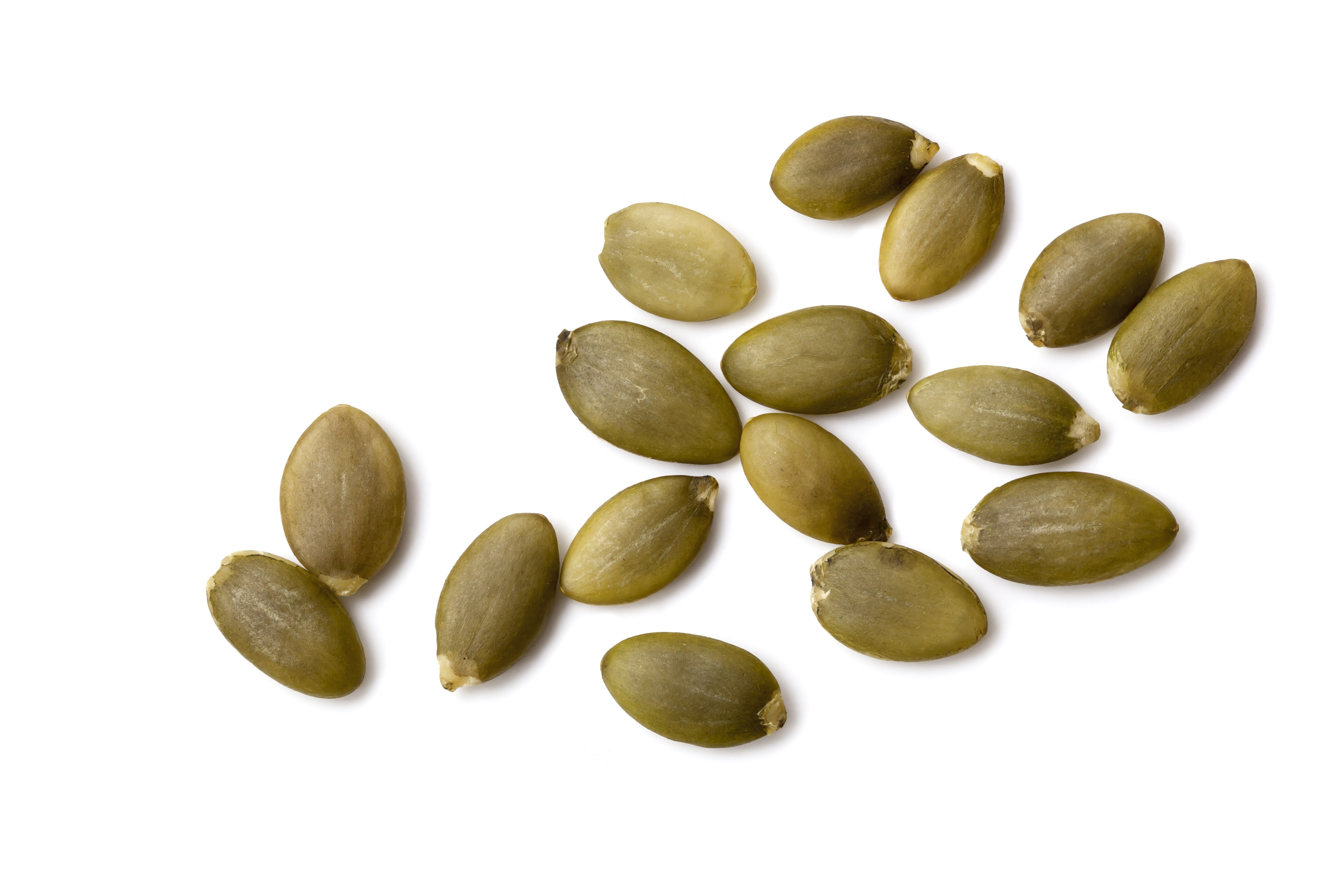 Pumpkin seed protein ingredient photo for pet food