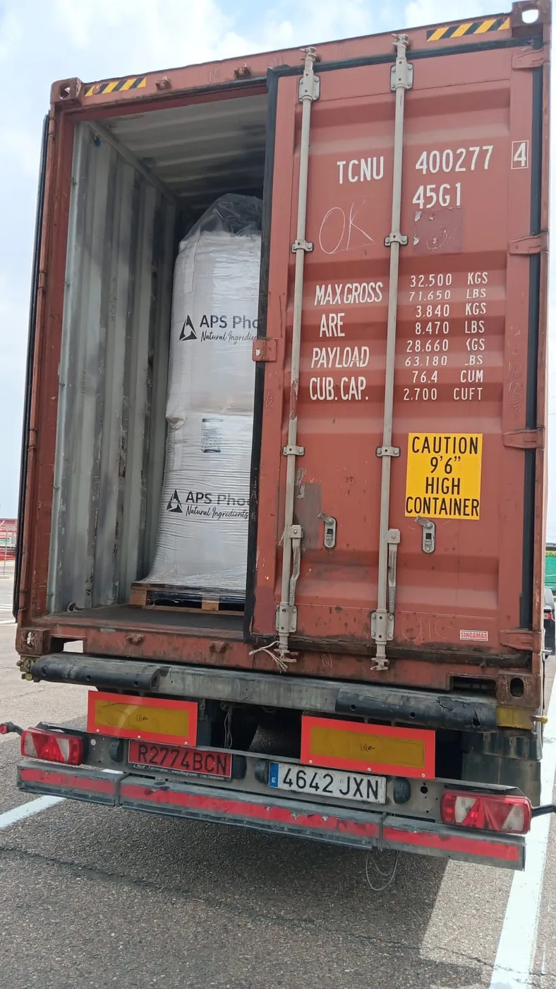 Sourcing Bulk Pulses and Beans: A B2B Buyer's Guide