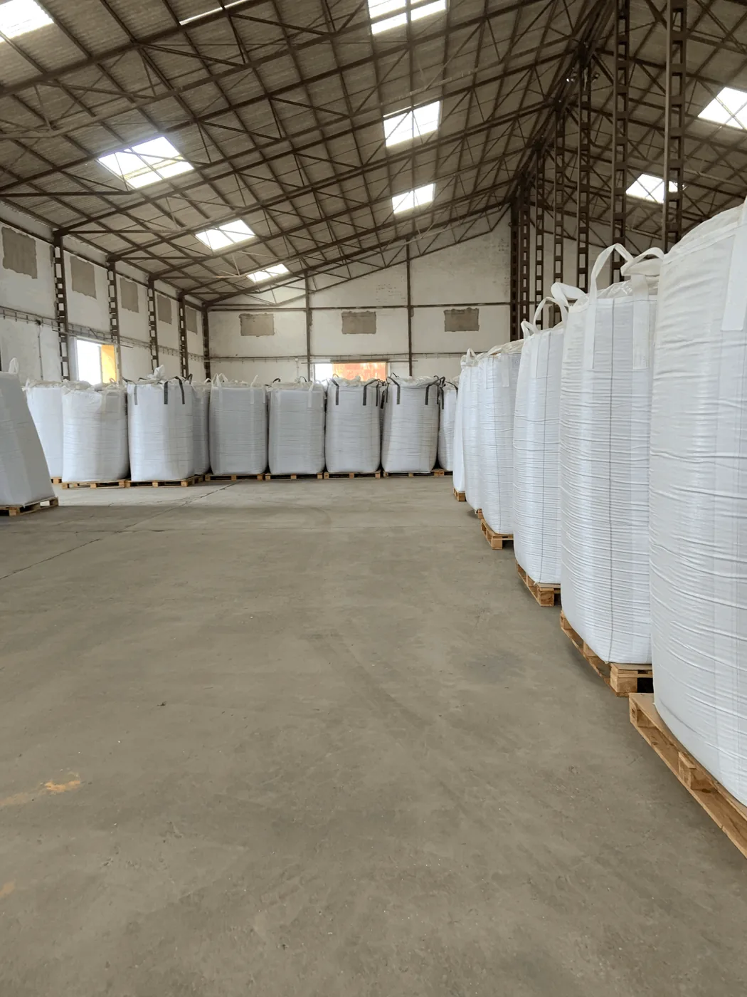 Bulk pulses in big bags on pallets ready for shipment