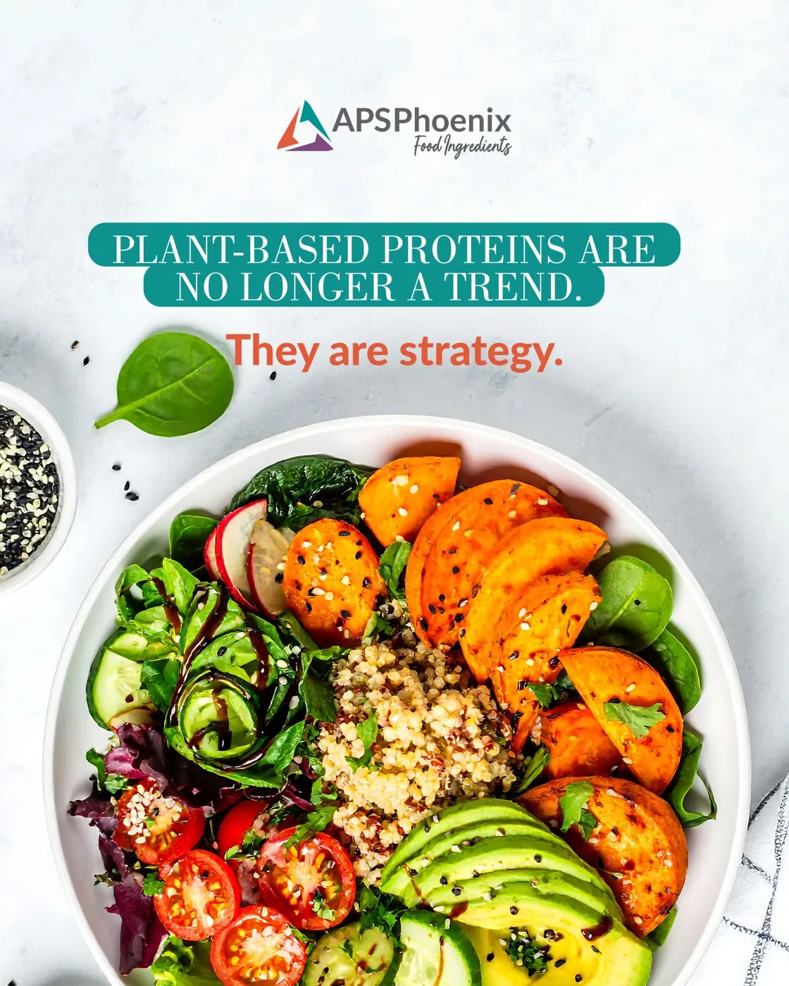 Plant-Based Proteins for Pet Food: Pea, Potato and Pumpkin Seed