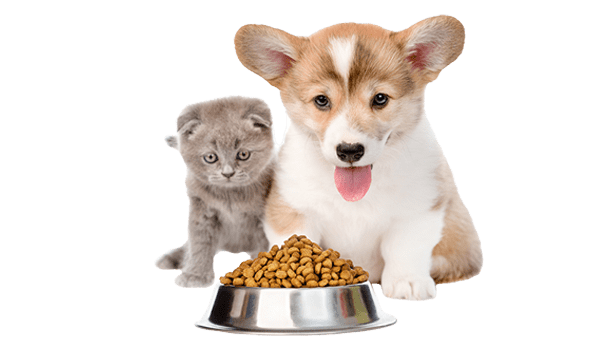 Pet food ingredient supply scene