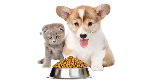 Pet food ingredient supply scene